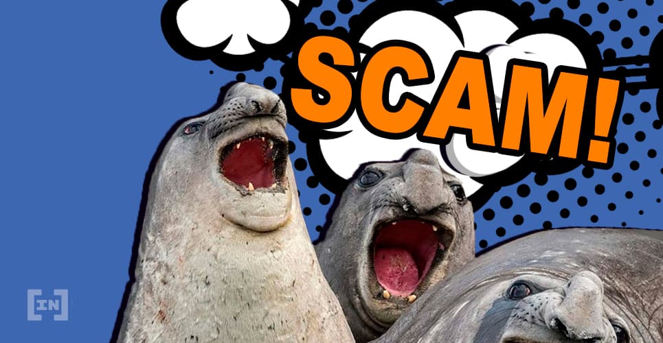 Bewirbt Google Ads Krypto-Scams? Nutzer verliert 15.000 USD