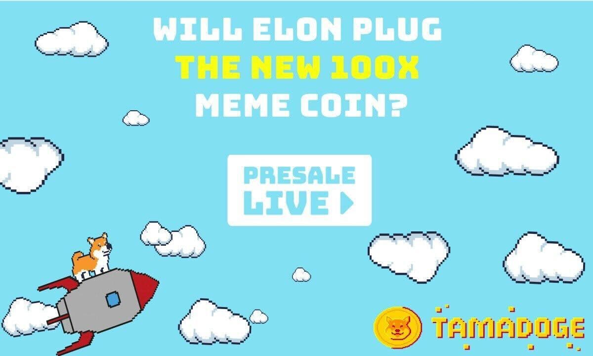 Tamadoge Beta-Verkauf ist ausverkauft &#8211; könnte dies der nächste Meme-Coin sein, der explodiert?