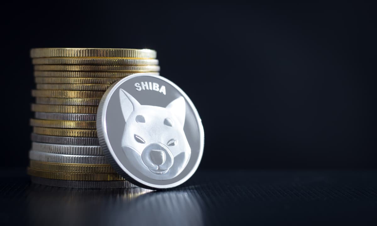 Investoren kaufen im Eiltempo den Shiba Inu-Konkurrenten NuggetRush im Vorverkauf, bevor der Preis um 20 % steigt