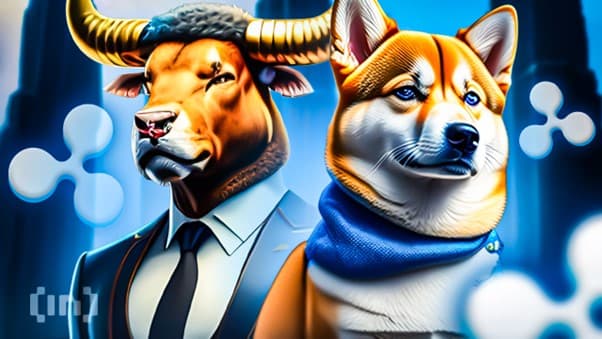 Diese 3 Coins werden gerade von Krypto-Walen gehortet&nbsp;