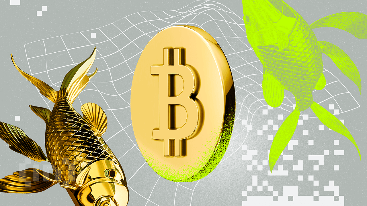 Analyst: Bitcoin-Kurs folgt Gold-Rallye mit 100-Tage-Verzögerung dank Liquiditätsboom