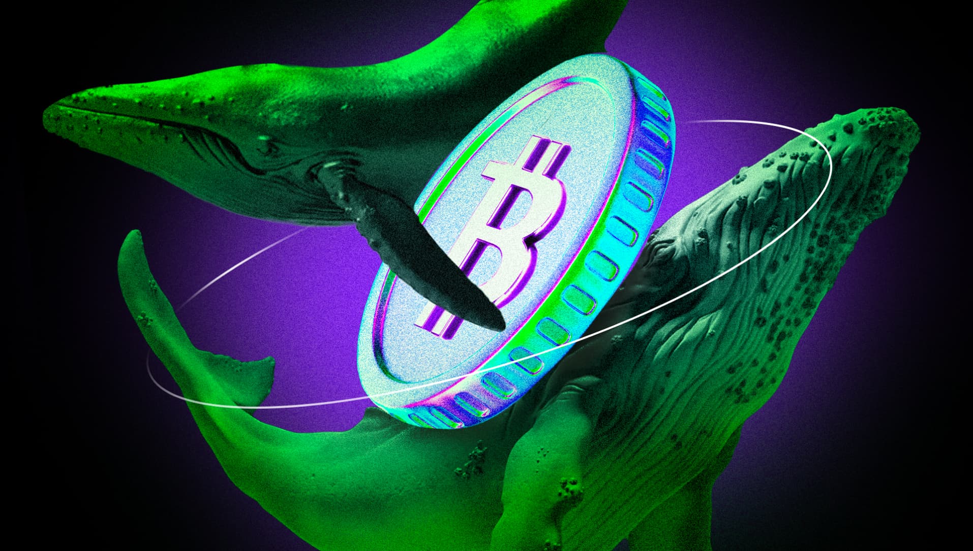 Krypto-Wal setzt 1,25 Mrd. USD auf Bitcoin – was steckt dahinter?