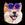 Polygon BabyDoge
