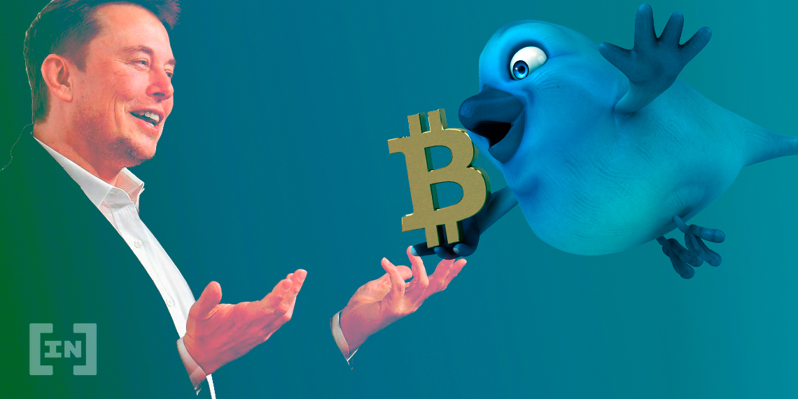 Elon Musk mit Twitter Logo