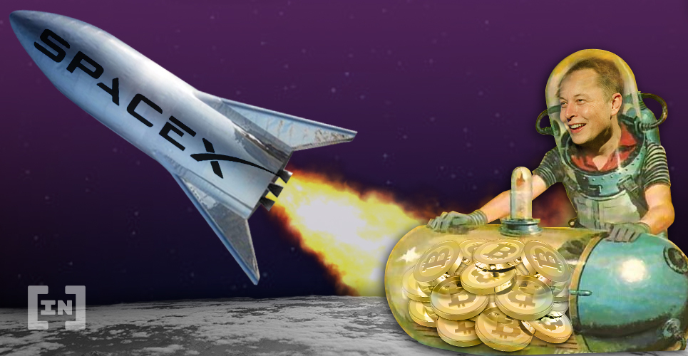 Elon Musk Bitcoin Moon