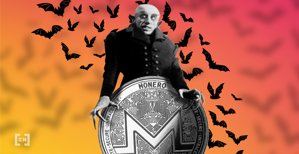 Monero in der Nacht. 