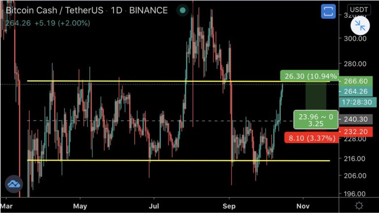 Bitcoin Cash Preis.