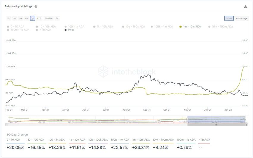 Cardano Adressen mit mehr als 1 Millionen ADA Chart