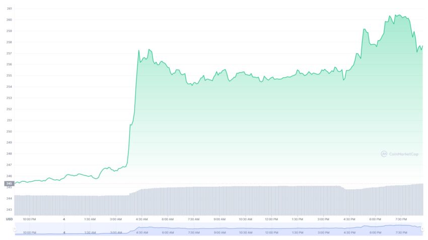 Binance Coin Kurs Chart