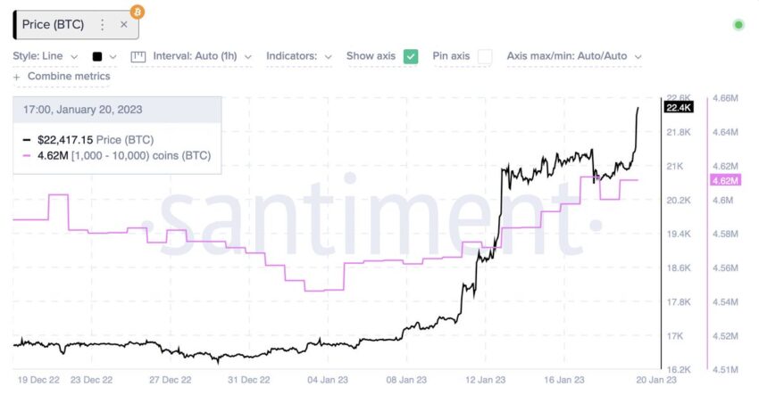 Bitcoin Käufe