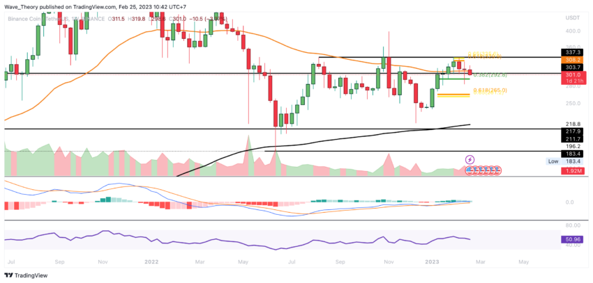 BNB Preis Chart von Tradingview