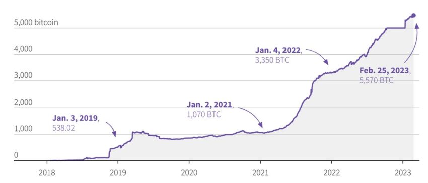 Chart, BTC, Anzahl, Lightning-Netzwerk