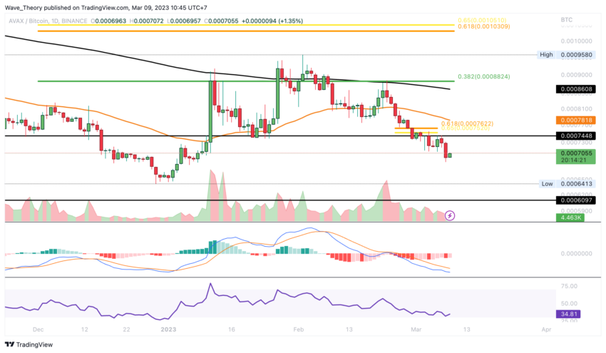 AVAX Preis Chart von Tradingview