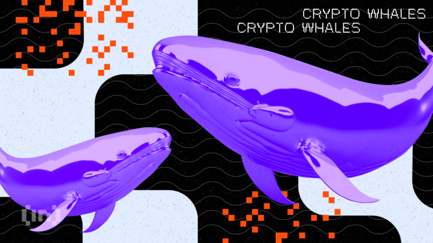 Cardano verzeichnet massive Wal Transaktionen in Höhe von 27 Mrd. ADA