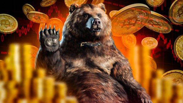 Welche Altcoins werden die SEC-Klagen überleben? – Krypto-Experte antwortet