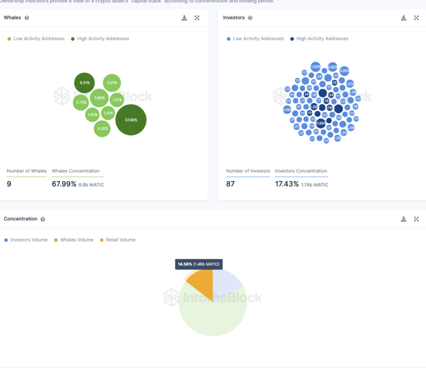 Polygon IntoTheBlock On-Chain Analyse