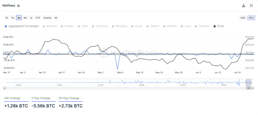 Netflows Exchanges von IntoTheBlock