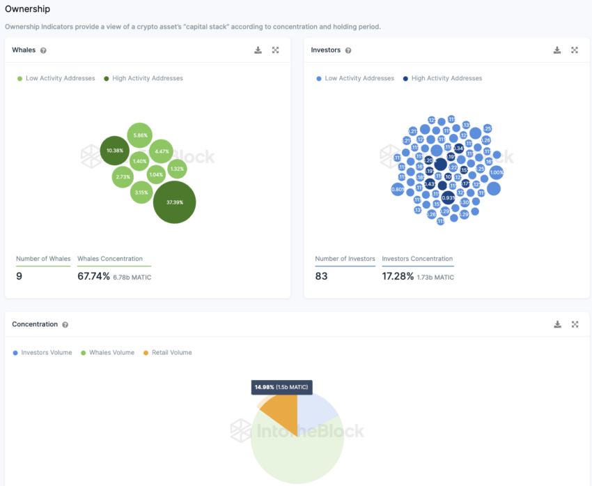 Polygon IntoTheBlock On-Chain Analyse