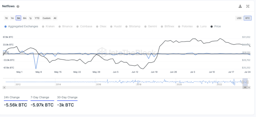 Netflows Exchanges von IntoTheBlock