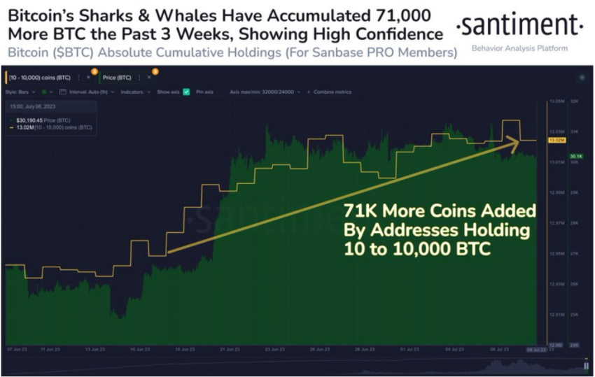 Bitcoin (BTC) Akkumulation Investor:innen