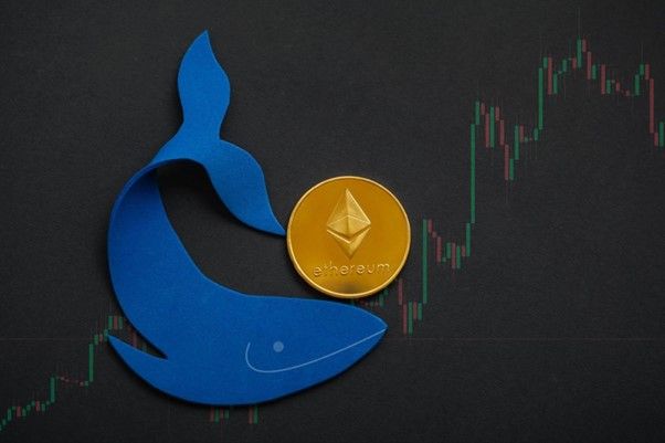 Ethereum ICO-Wal verwandelte 19.000 zu 113M USD