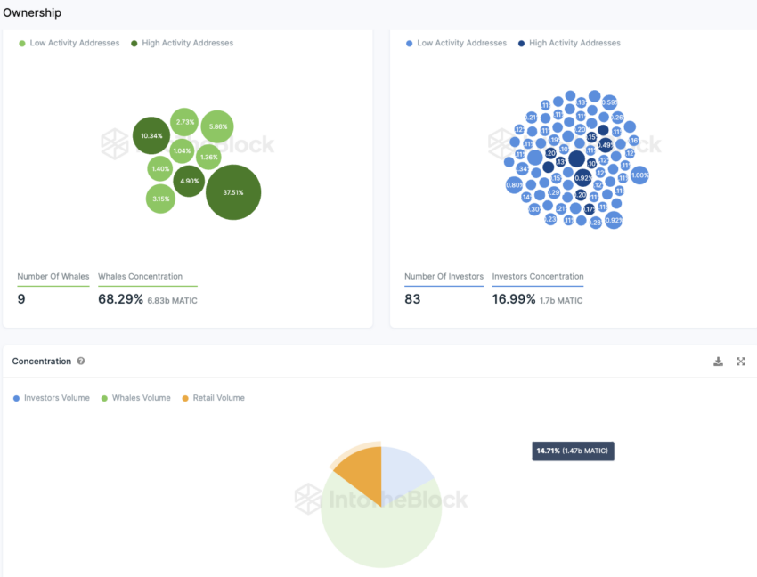 Polygon IntoTheBlock On-Chain Analyse