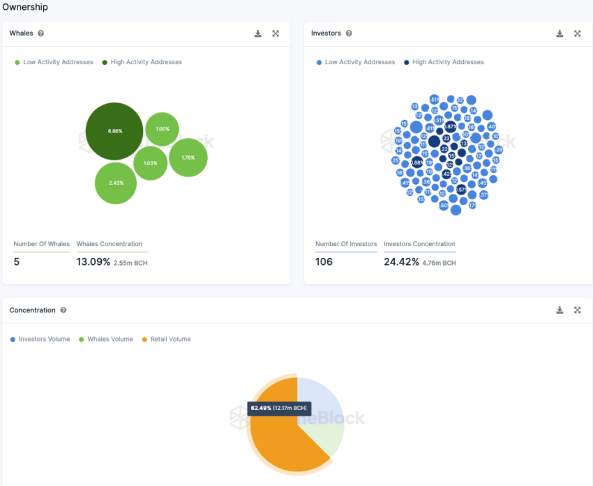 Bitcoin Cash Onchain Analyse