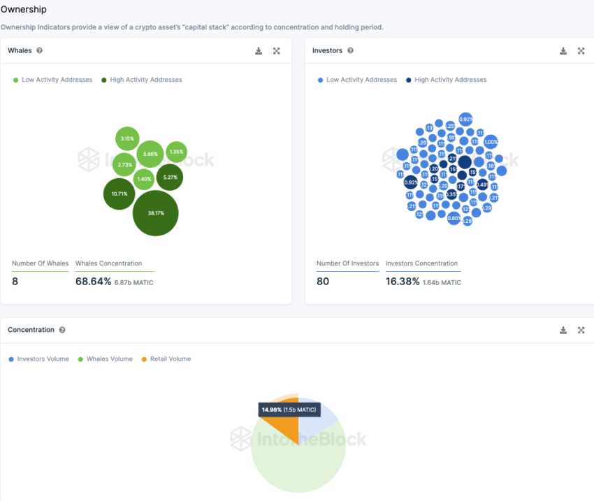 Polygon IntoTheBlock On-Chain Analyse