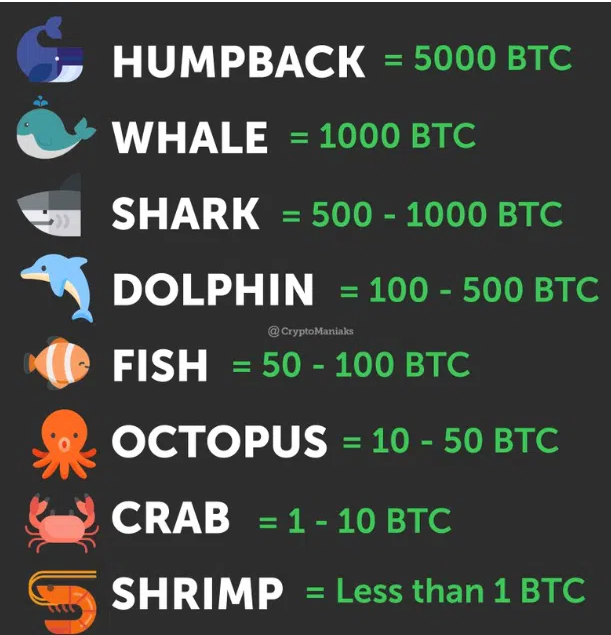 Krypto Wal Dogecoin
