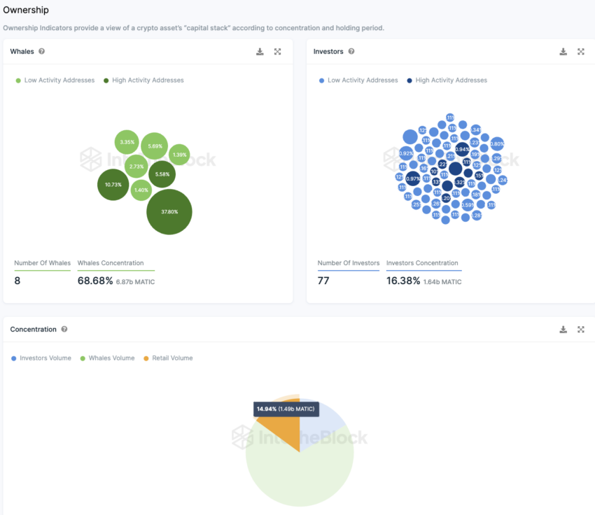 Polygon IntoTheBlock On-Chain Analyse