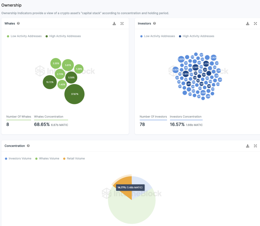 Polygon IntoTheBlock On-Chain Analyse