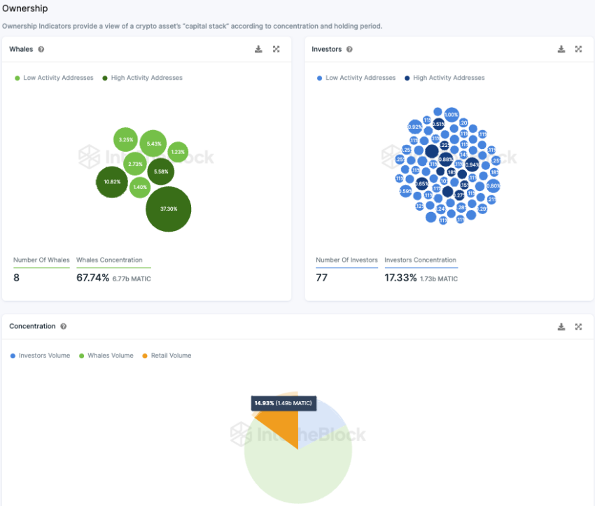 Polygon IntoTheBlock On-Chain Analyse