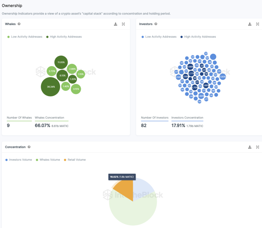 Polygon IntoTheBlock On-Chain Analyse