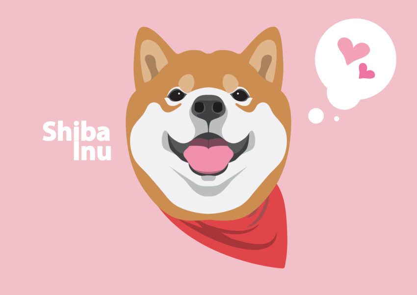 Haben Sie den Aufstieg von Shiba Inu verpasst? Diese Kryptowährung zielt darauf ab, den Erfolg von SHIB zu wiederholen