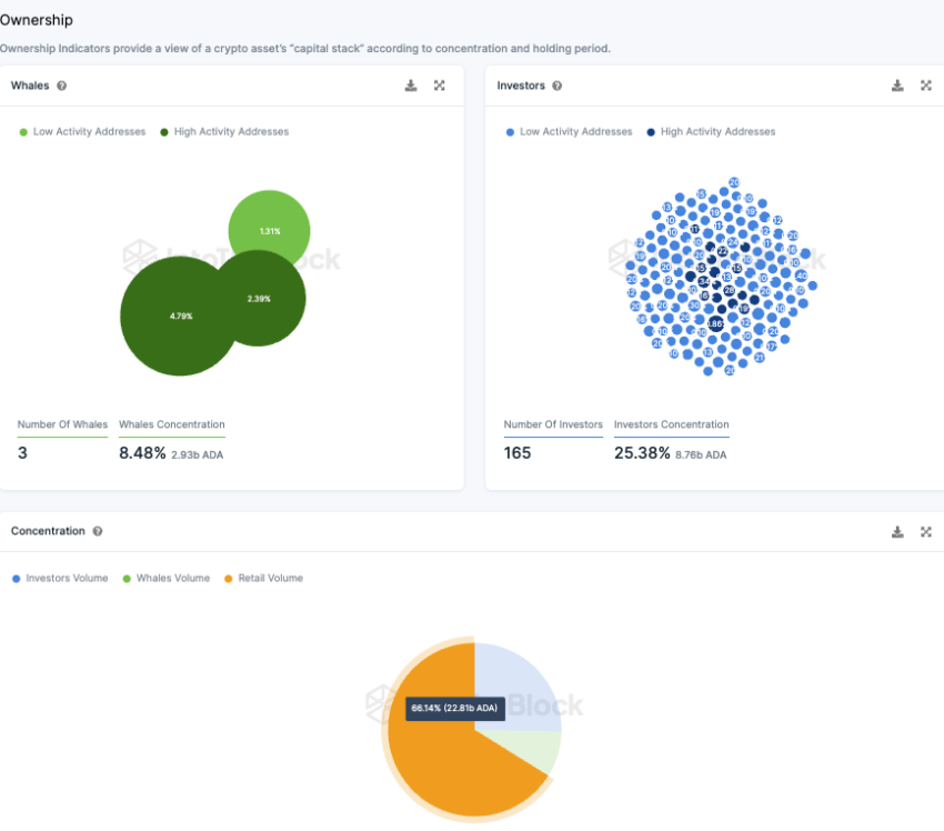 Cardano Konzentration der Investor-Typen