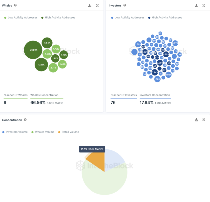 Polygon IntoTheBlock On-Chain Analyse