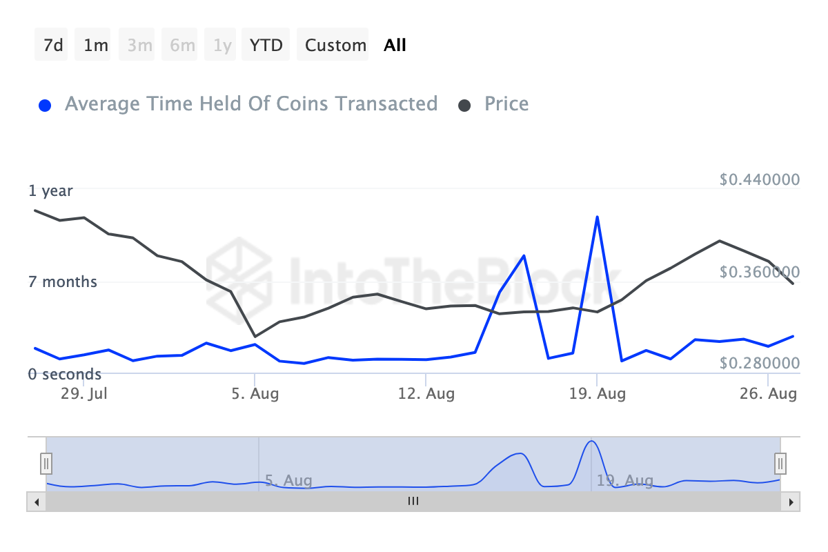 Cardano Coins Holding Time.