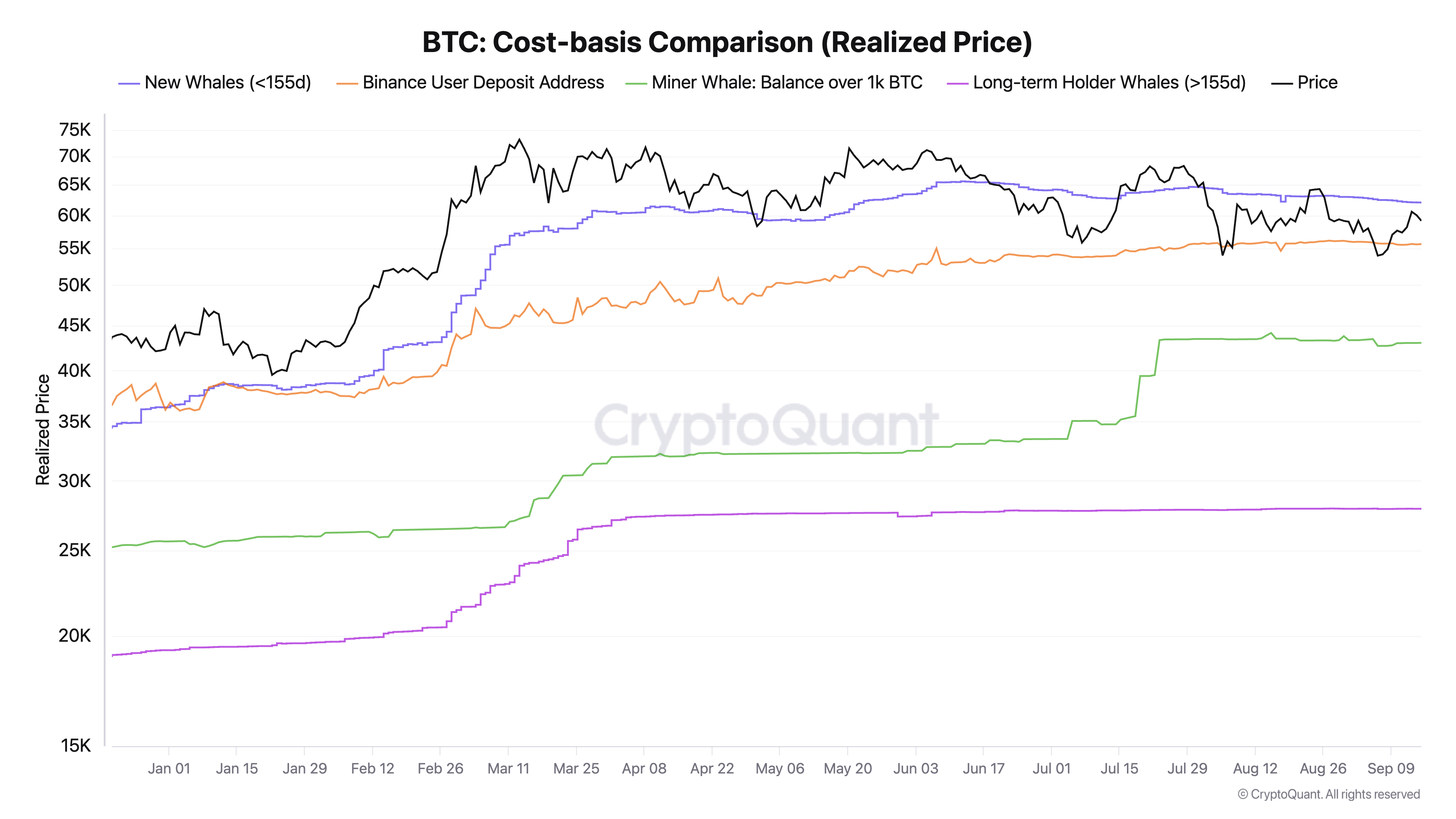 Bitcoin-Kostenbasis