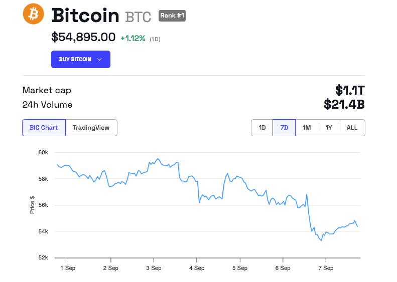 Bitcoin-Kursentwicklung
