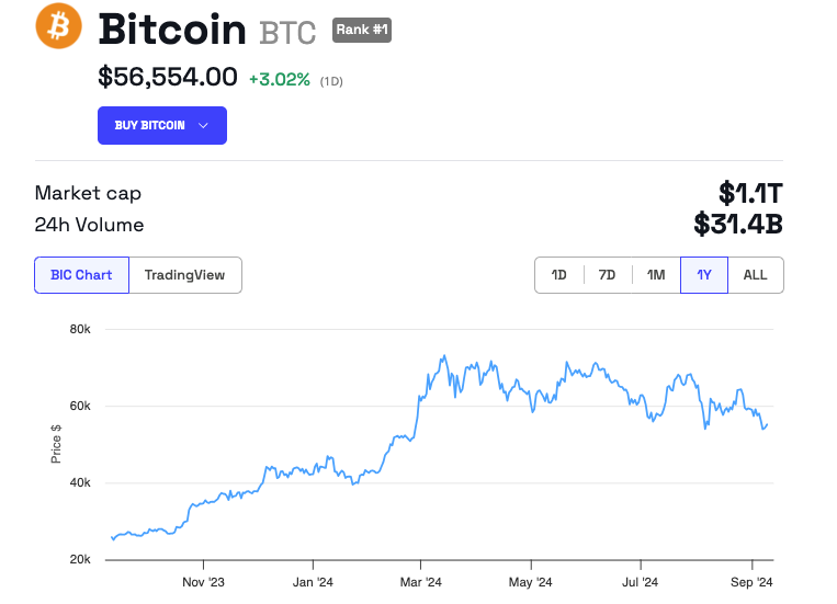 Bitcoin Kursentwicklung
