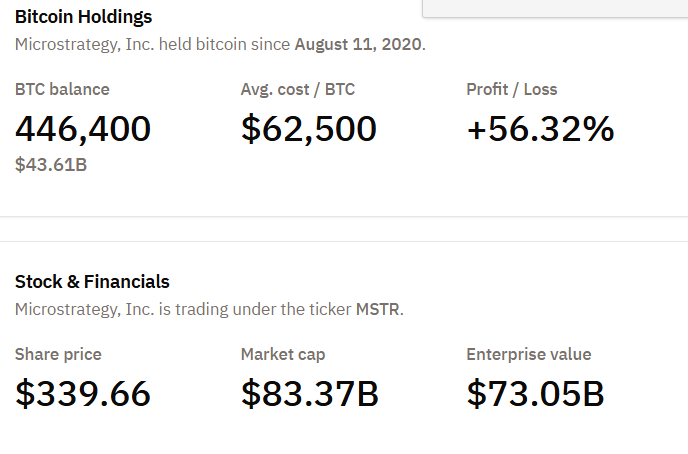 MicroStrategy Bitcoin Bestände