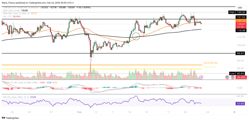 Litecoin Preis Chart von Tradingview