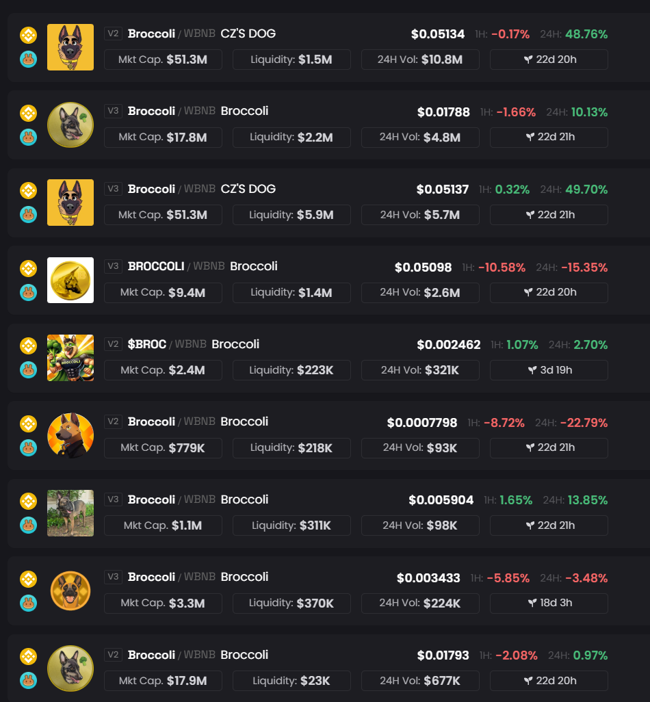 Verschiedene BROCCOLI Memecoins auf DEXes