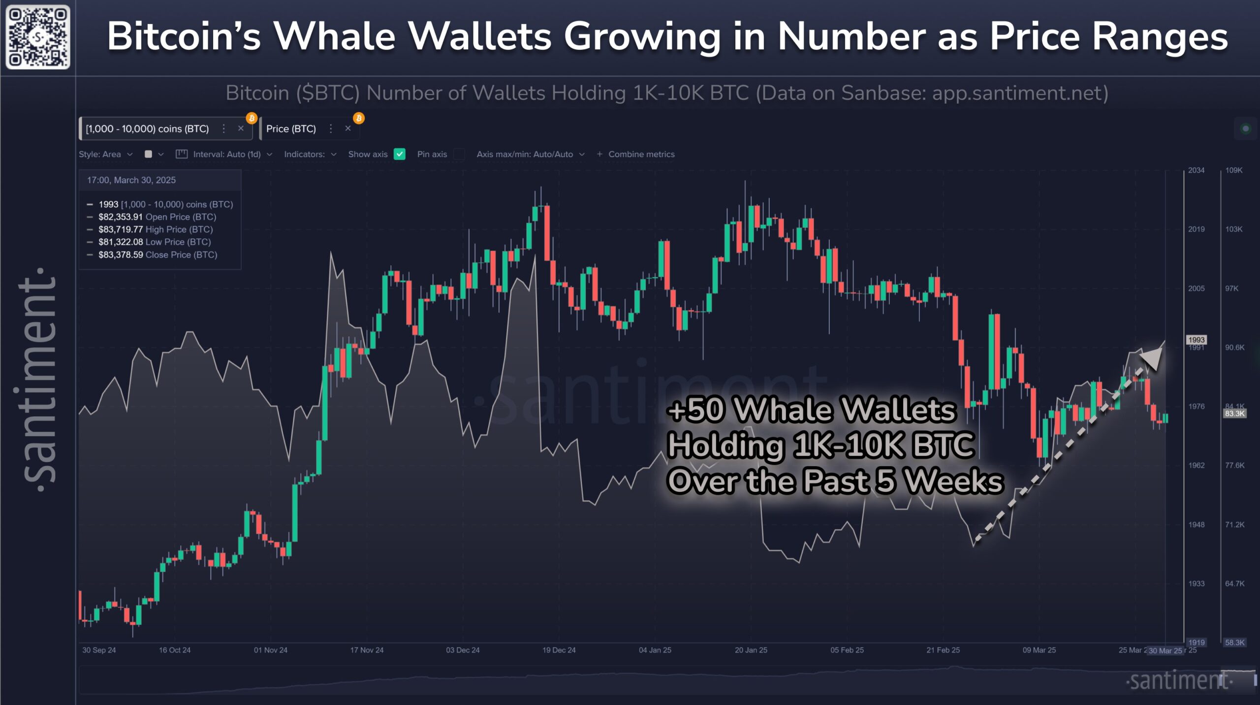 Bitcoin-Wal-Wallets (insbesondere 1K-10K USD BTC-Inhaber) wachsen weiter in der Anzahl. Quelle: Santiment