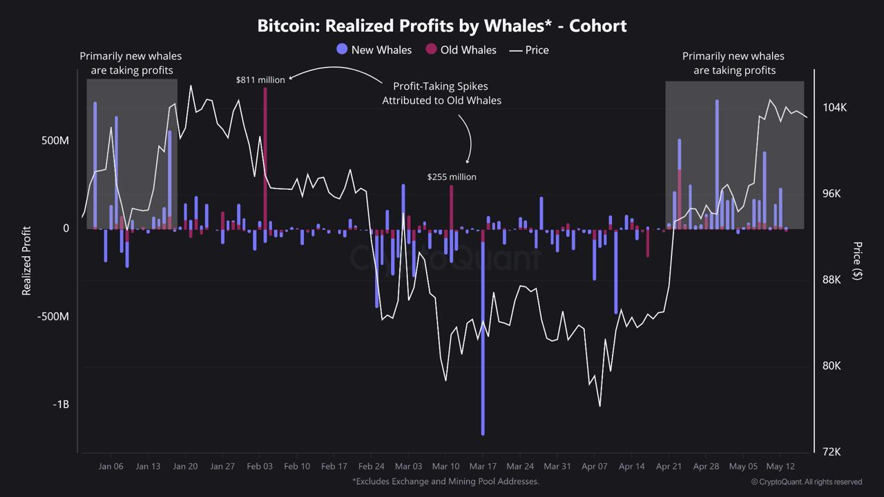 bitcoin wal daten