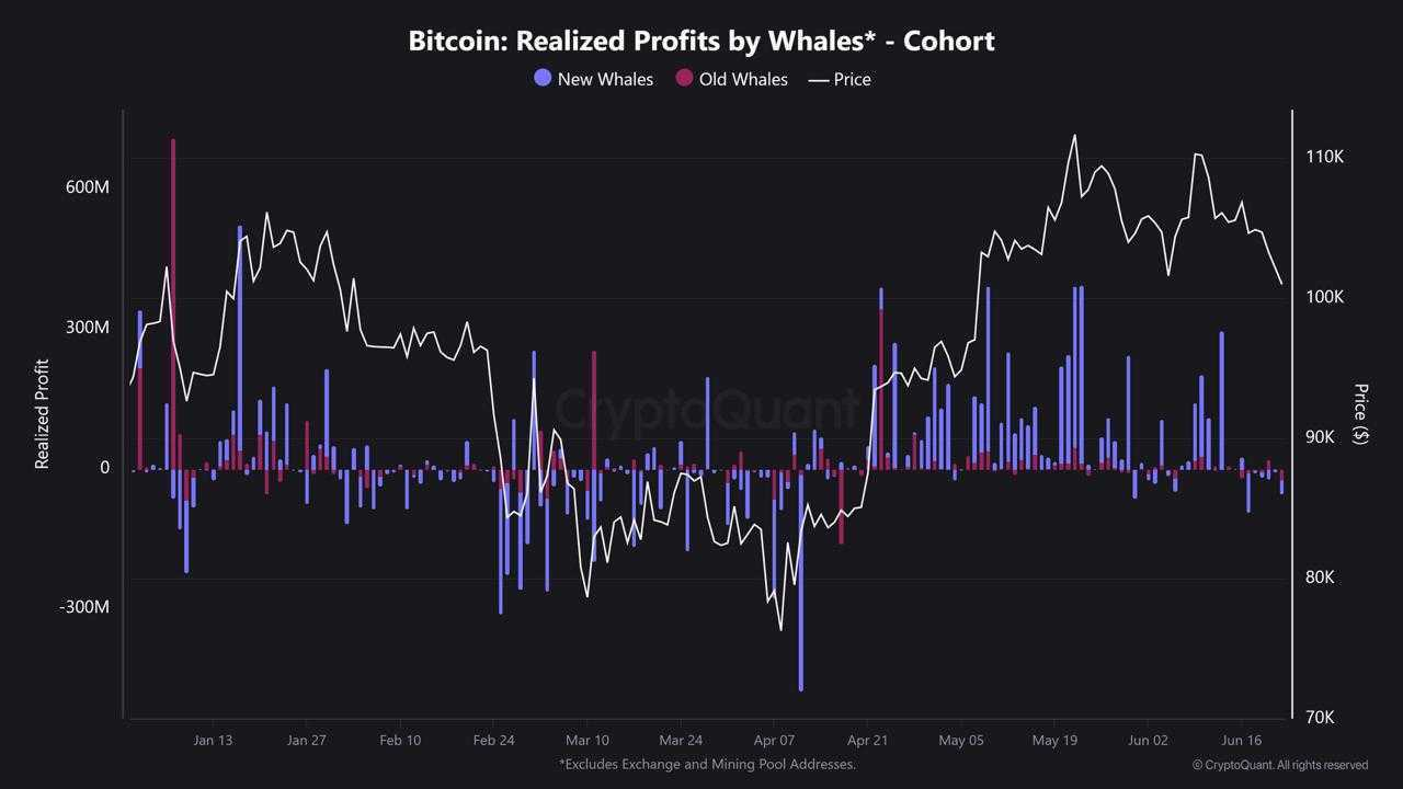 Bitcoin-Wale realisierten Gewinne