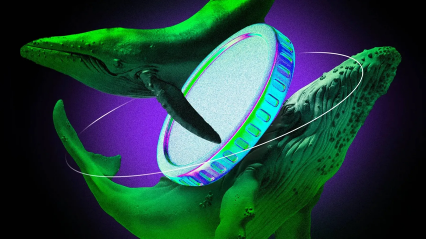 3 Altcoins, die Krypto-Wale in der ersten Augustwoche 2025 kauften